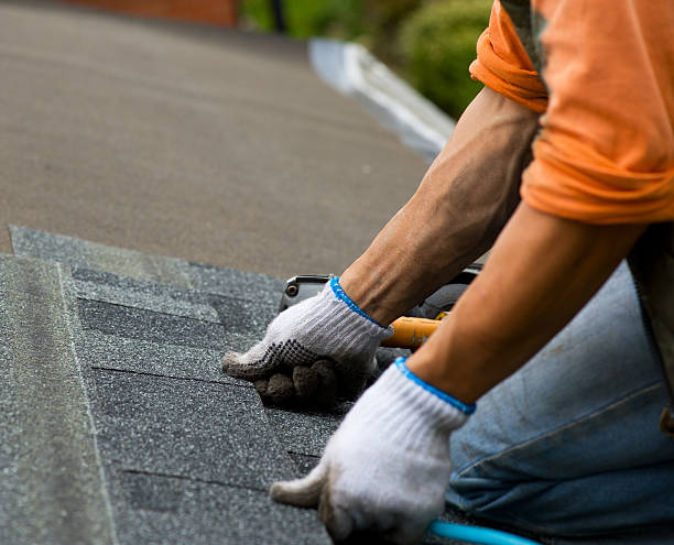 Best Roof Gutter Cleaning  in Seneca, KS